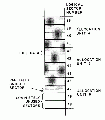 524px-Inside-ms-dos-figure-4.gif