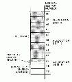 320px-Inside-ms-dos-figure-4.gif