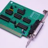MIF-IPC Clone (MIF-IPC-B) - Image 2